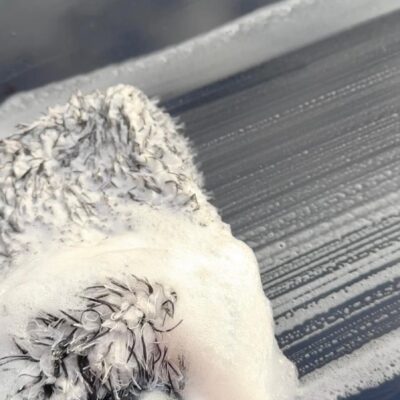 Seal wash mitt rękawica do mycia auta